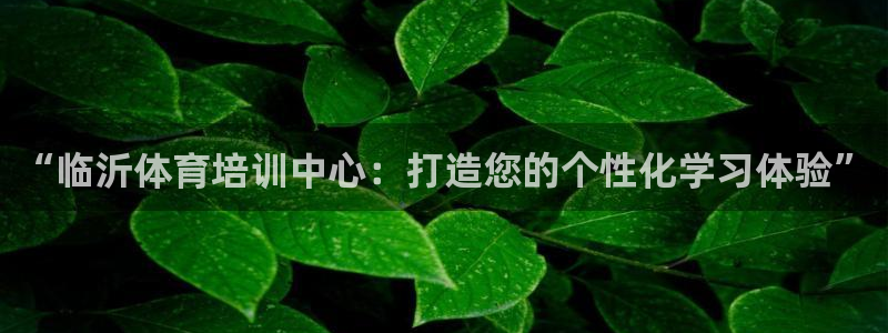 球客岛：“临沂体育培训中心：打造您的个性化学习体验”