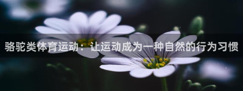 球客岛：骆驼类体育运动：让运动成为一种自然的行为习惯
